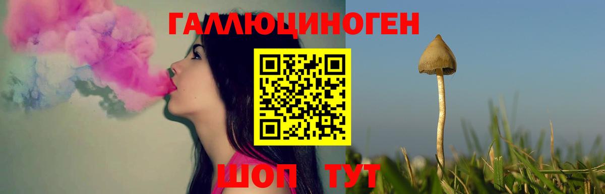 Галлюциногенные грибы GOLDEN TEACHER  Вход с VPN  Луховицы 